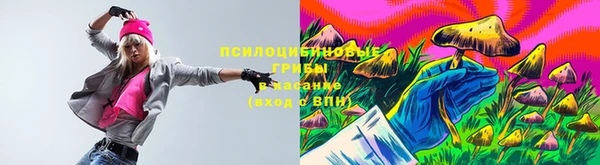 прущие грибы Лихославль