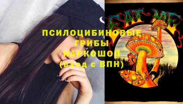 тгк Лиски