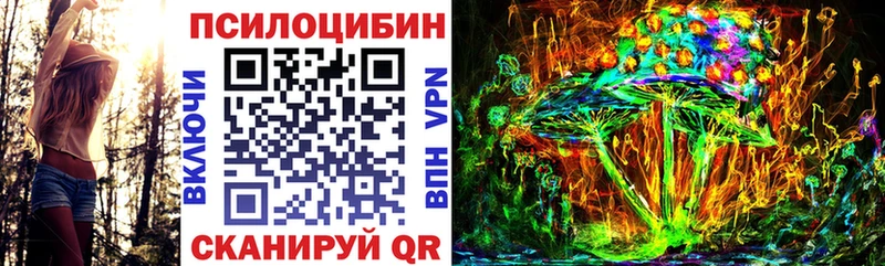 Псилоцибиновые грибы мицелий  Магас 
